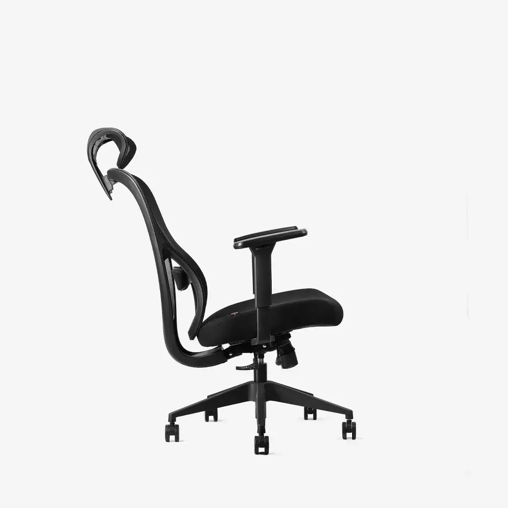 Neodax Ava Ergonomic Mesh Chair, Carbon Black