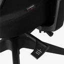 Neodax Ava Ergonomic Mesh Chair, Carbon Black